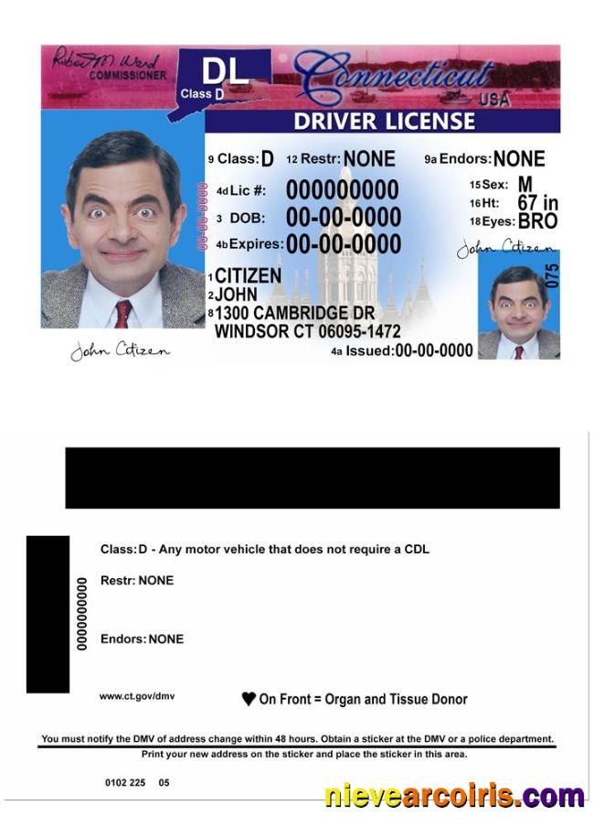 USA Connecticut driving license version 2